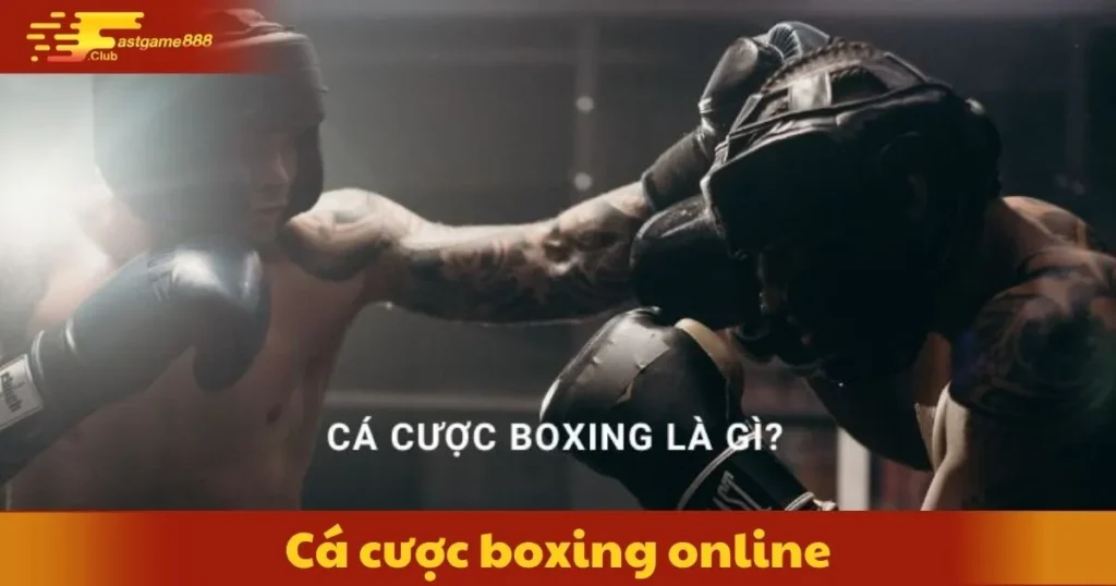 Cá Cược Boxing Online: Môn Thể Thao Đầy Sức Mạnh 2 Cá Cược Boxing Online: Môn Thể Thao Đầy Sức Mạnh