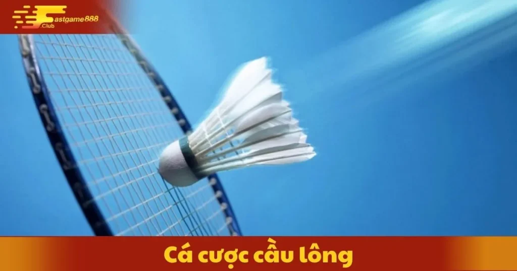 Cá Cược Cầu Lông Tại Fastgame888: Cách Đặt Cược