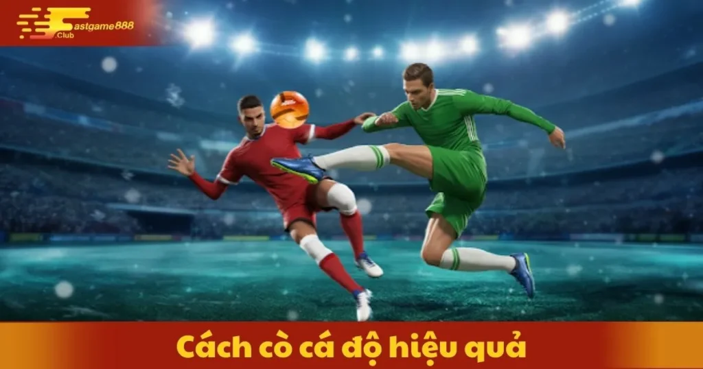 Cách Cò Cá Độ Hiệu Quả: Bí Quyết Cho Người Mới Bắt Đầu 3 Cách Cò Cá Độ Hiệu Quả: Bí Quyết Cho Người Mới Bắt Đầu