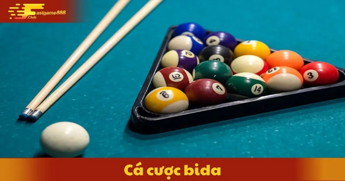 Cá Cược Bida Tại Fastgame888: Hướng Dẫn Và Kinh Nghiệm 2 Cá Cược Bida Là Gì?