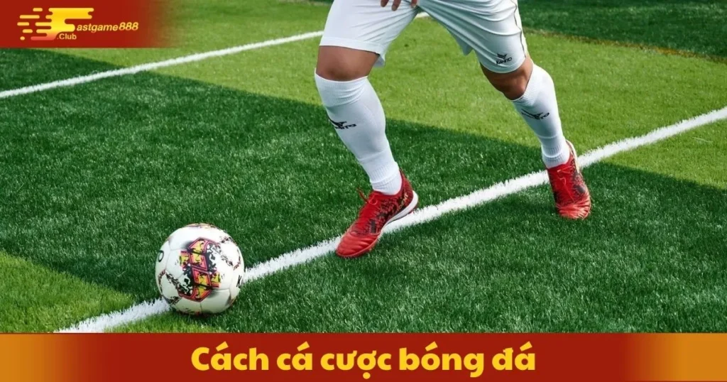 Cách Cá Cược Bóng Đá: Bí Quyết Tăng Cơ Hội Thắng 5 Cách Cá Cược Bóng Đá: Bí Quyết Tăng Cơ Hội Thắng